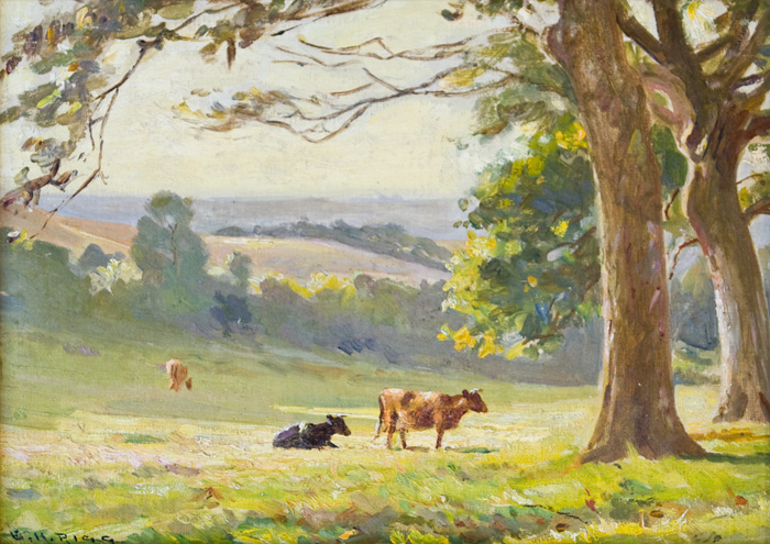 Sunshine_in_the_Rickman_Valley