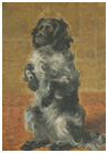 Paintinng of Taffy the dog