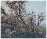 Sheep feeding in an orchard