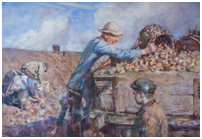 Old man and young boy picking potatoes
