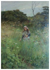 young girl in meadow picking flowers