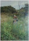 Picking-Flowers