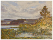 Looking across a leed surrounded by reeds
