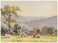 Cow in pasture soaking up the sun