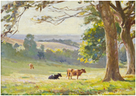 Sunshine-in-the-Rickman-Valley