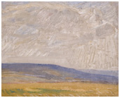 A Moorland landscape