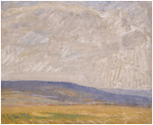 Moorland_Landscape